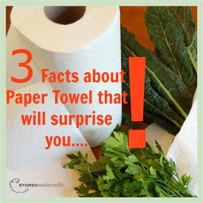 Do Paper Towels Have Chemicals: Unraveling the Mysteries of Everyday Convenience