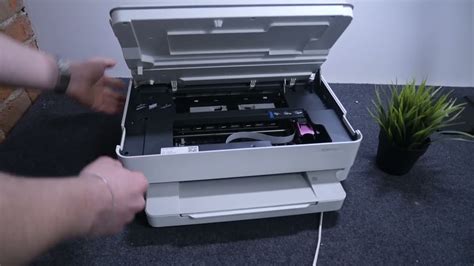 How to Remove Jammed Paper from HP Printer: A Journey Through the Paper Jungle